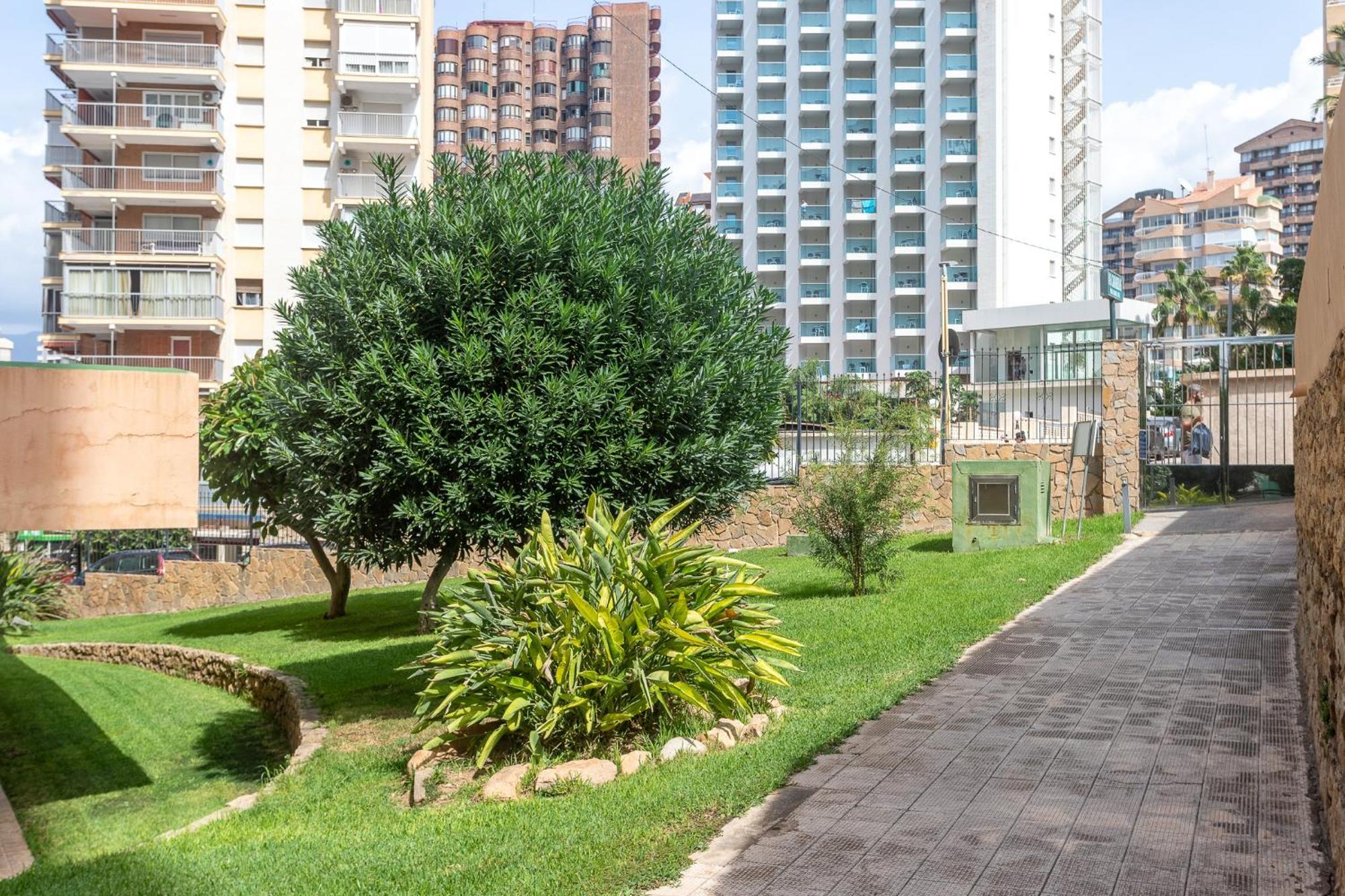 Apartamento Frente Al Mar 貝尼多姆 外观 照片
